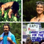 Kalo Pa‘a o Waiāhole – Hard Taro of Waiāhole