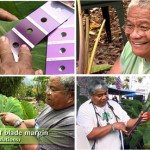Documenting Taro Varieties – with Jerry Konanui